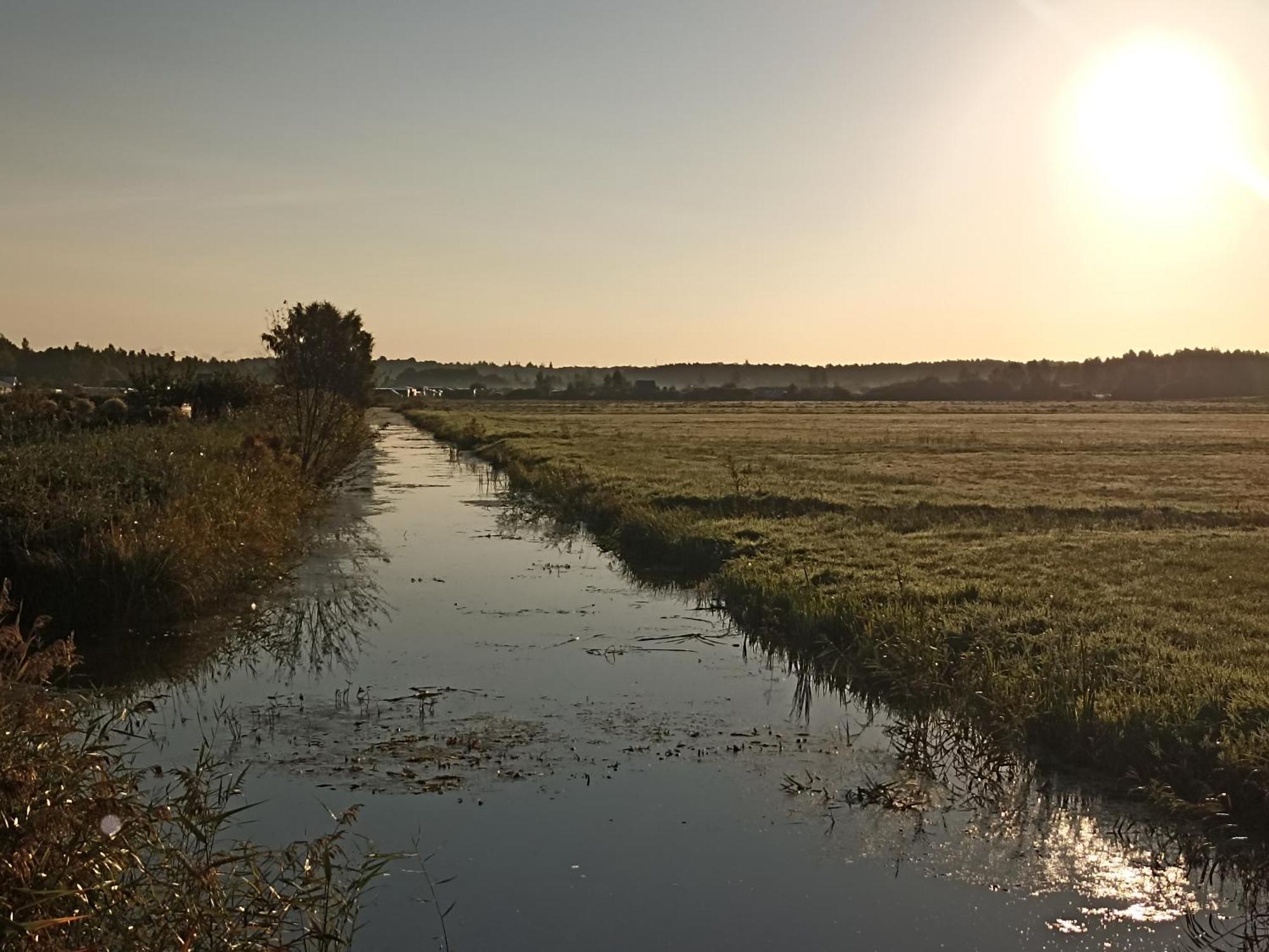 Pokoje Gościnne Dominik Ostrowo  Zewnętrze zdjęcie
